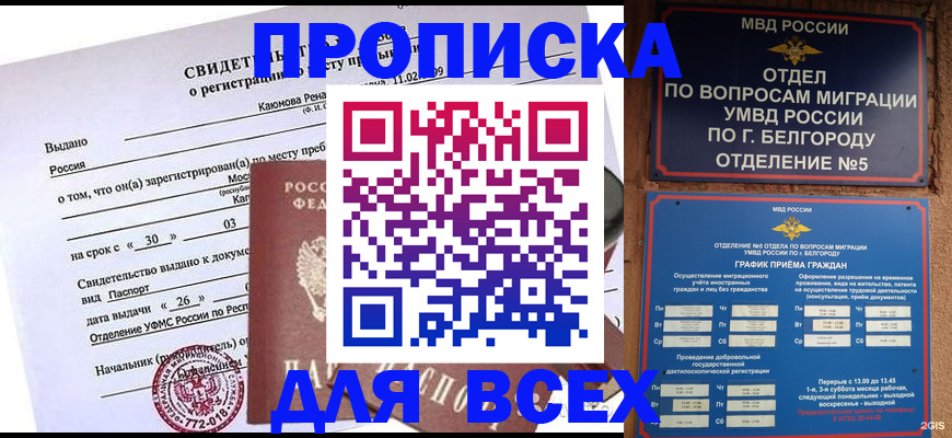 прописка поиск в Дмитрове