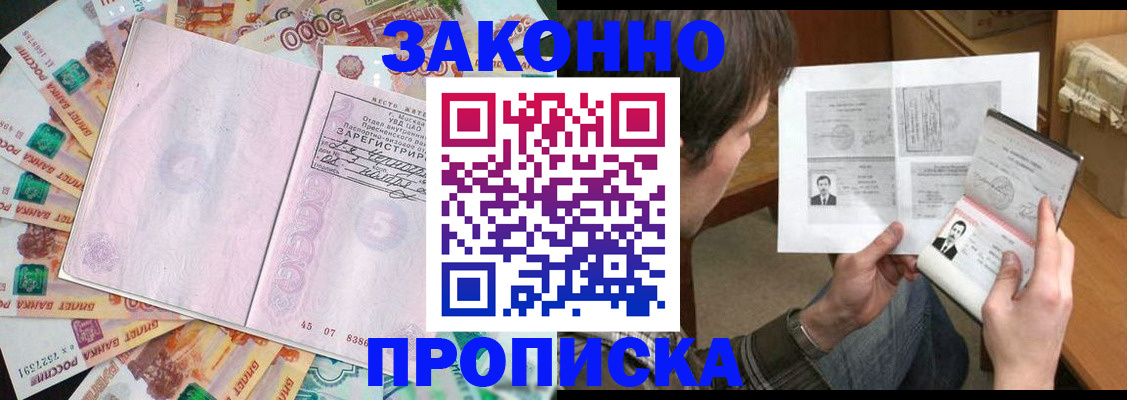 прописка для школы в Дмитрове